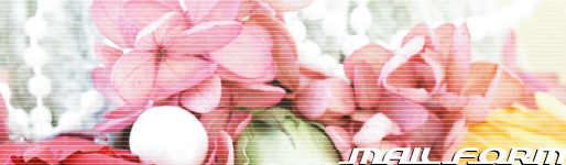 vU[uht[@[tH[